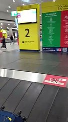 Baggage Claim in Santiago, Chile ✈️