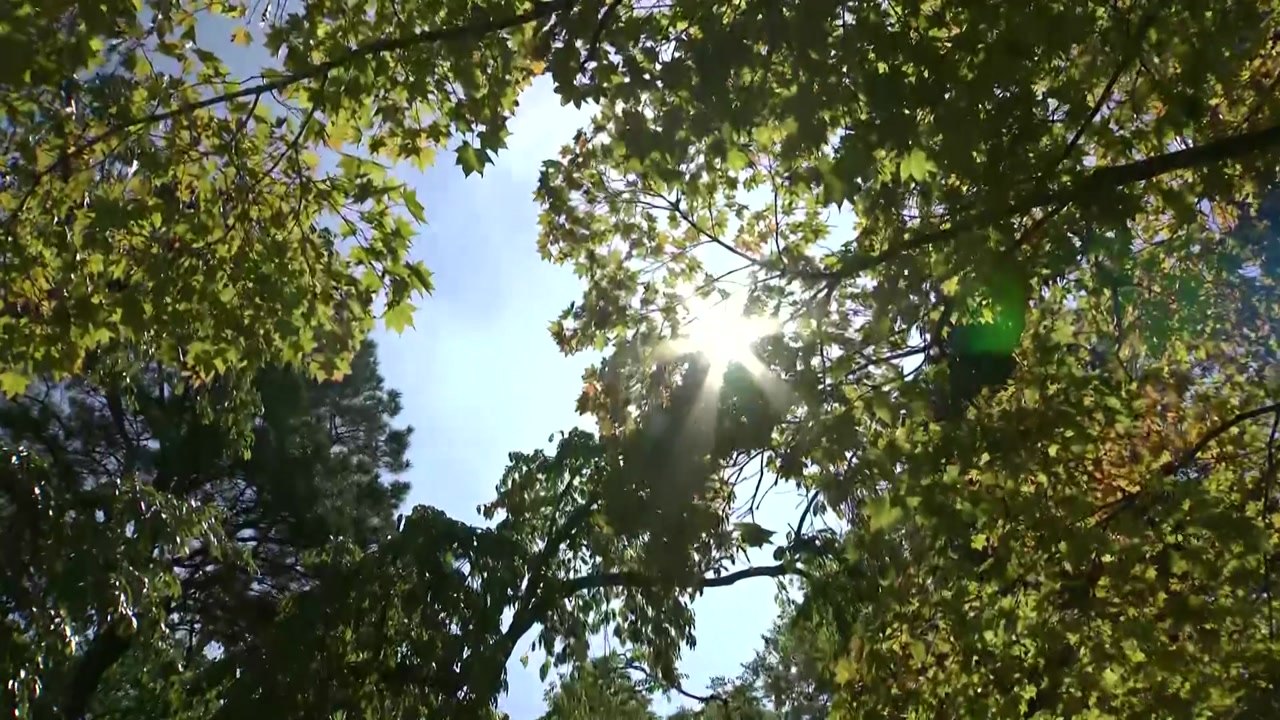 [날씨] 서쪽 30℃ 안팎 늦더위...가을 정취 가득한 남산 / YTN