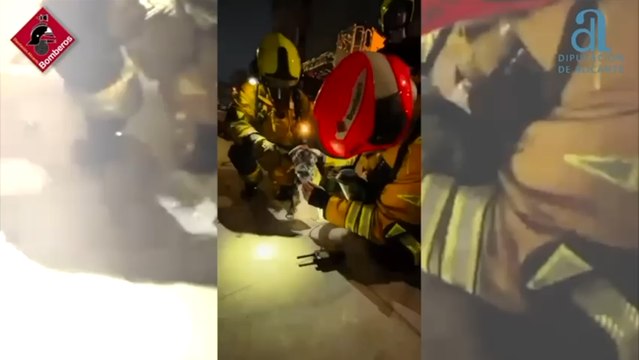 Los bomberos de Alicante reaniman a un perro tras el incendio de una vivienda