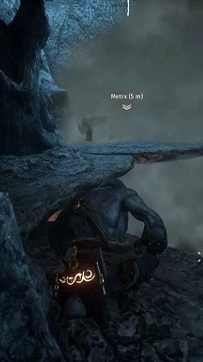 Goodbye Brother