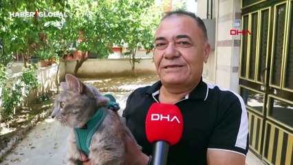 Felçli kedisi için yürüteç yaptı