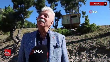 Adana'da ağaçlara zarar vermek istemedi, ağacı evinin içinden geçirdi