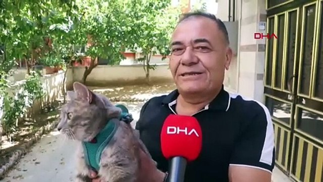 Meğer iyi insanlar ölmemiş... O Türkiye'nin en şanslı kedisi: Felçli kedisi için kendisi üretti