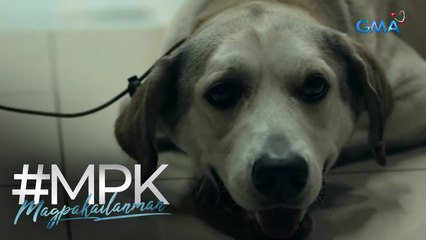 Magpakailanman: Every fur parent's nightmare is losing their furry friend! (Stream Together)