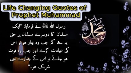 Life Changing Quotes of Prophet Muhammad (PBUH) | the quoted life