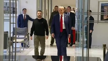 Ukraine: Trump empfängt Selenskyj und verspricht "schnelle Lösung"