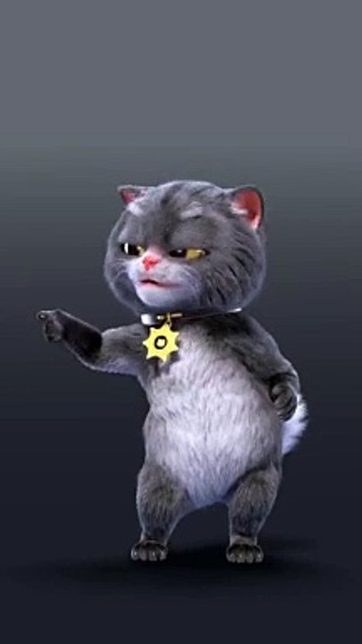 Cat# dance#