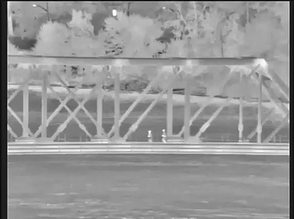 CBP Officers and Border Patrol Agents Combine Efforts  to Apprehend Italian Citizens Illegally Entering the U.S.