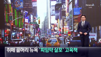 쥐떼 골머리 뉴욕 ‘피임약 살포’ 고육책