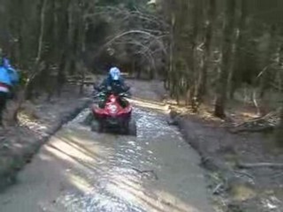 Greg_quad