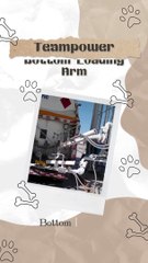 Teampower Bottom Loading & Unloading arm systems for LNG-Cryogenic liquid-LPG-Ammonia-Butadiene from Premier China Loading Arm Manufacturer | Lianyungang Teampower Technology Development Co Ltd |https://lygteampower.com