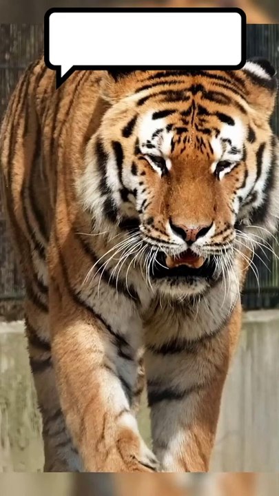 Butadiene-Ammonia-LNG-LPG-Butane-Butene Truck Bottom Loading Arm & Skid from Premier China Loading Arm Manufacturer/Supplier/Factory |Lianyungang Teampower Technology & Development Co Ltd | https://lygteampower.com