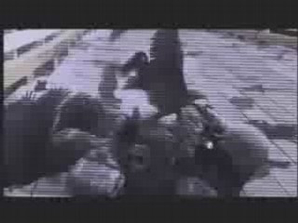 Birds Attacking Soldiers