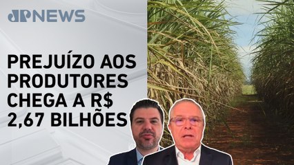 Queimadas no Brasil estimam quebra de 15% na safra de cana-de-açúcar; Acacio e Diogo da Luz analisam