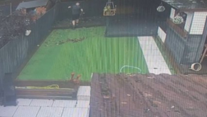 Man's rainy-day garden clean-up takes a comical turn, perfectly captured on camera