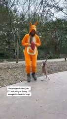 When you realise your dream job you never knew you