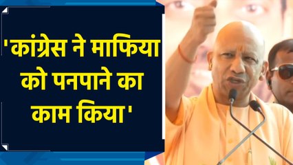 Haryana : CM Yogi बोले- 'हम बंटे नहीं होते तो न Ram Mandir टूटता, न देश गुलाम होता'