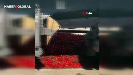 Manisa'da sağlıksız şartlarda salça üreten firmanın faaliyetleri durduruldu