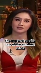 The Scripture says that if we have faith as small