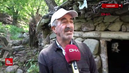 Hakkari Yüksekova'da 155 yıllık su değirmeni ile buğday öğütüyor