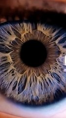 Voit-on VRAIMENT au dessus de 24 images par secondes ?