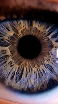 Voit-on VRAIMENT au dessus de 24 images par secondes ?