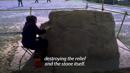 Iran's ancient site of Persepolis threatened by stone-eating organisms