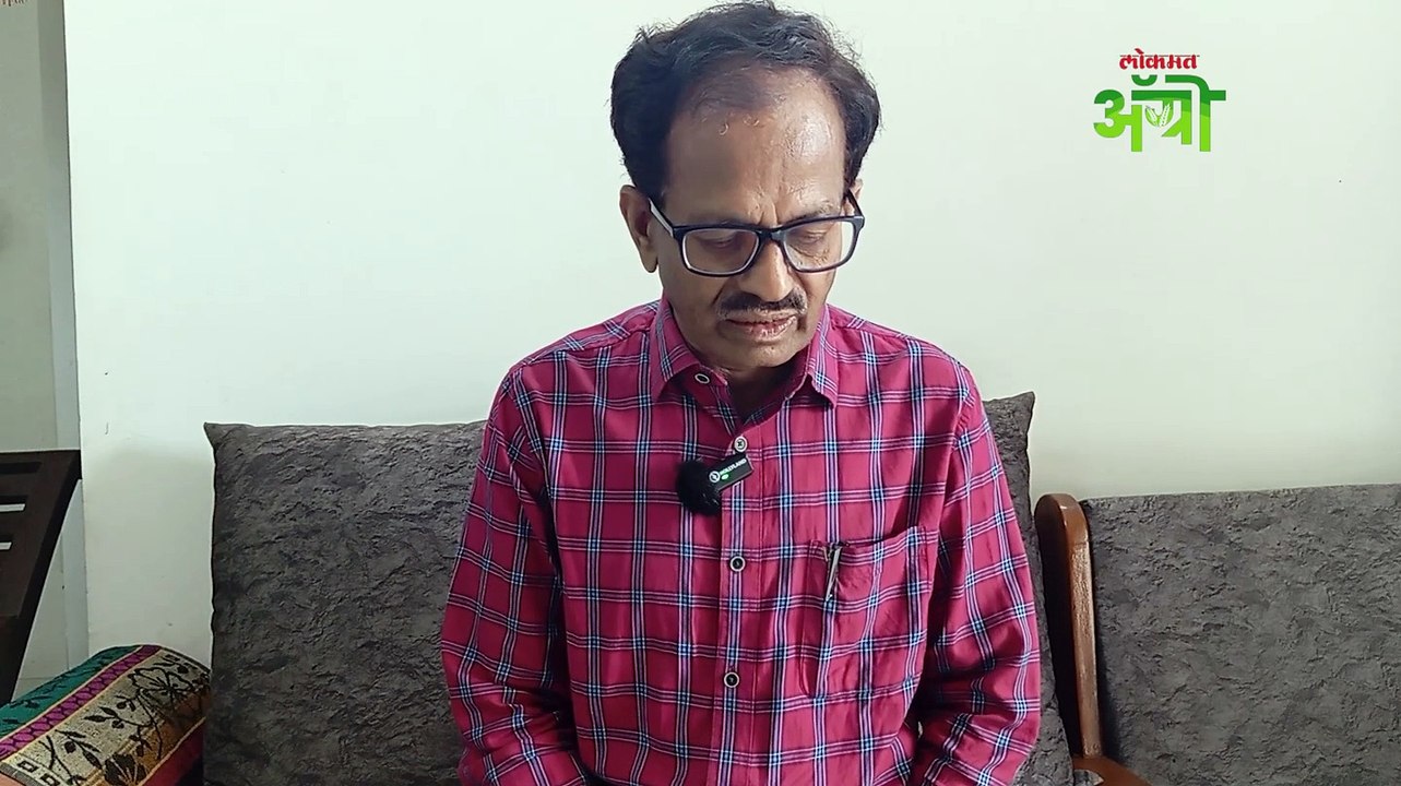 सोयाबीन भुईमूग ज्वारी काढणीची योग्य वेळ कोणती
