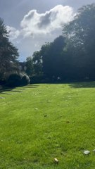 LES SUBLIMES EXTÉRIEURS de la Fondation Beyeler