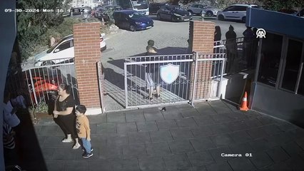 Fren yerine gaza basınca okul bahçesine daldı