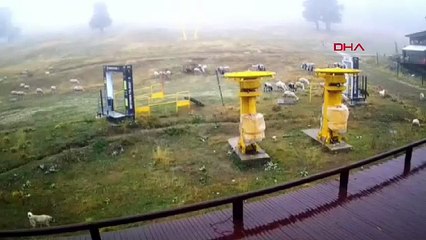 Türkiye'nin zirvesinden garip manzara: Yılın ilk karı bekleniyordu ama...