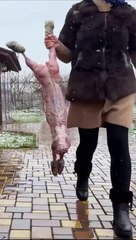 Tavşan nasıl pişirilir?