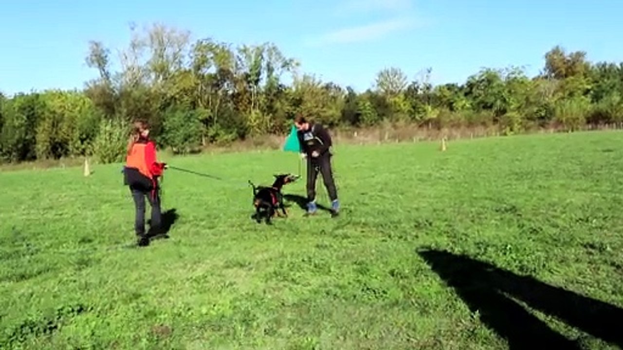 Visenya vom Ferrenberg 28092024_1