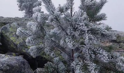 ¿Siberia? No, es el paraje de Soria que te dejará helado