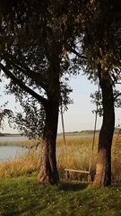 Exploring the beauty of nature