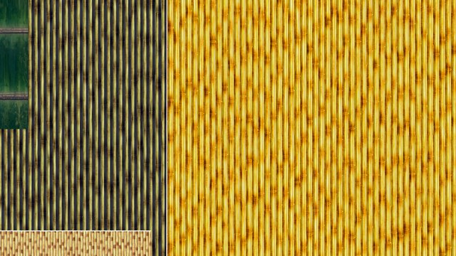 20 Bamboo Background Textures