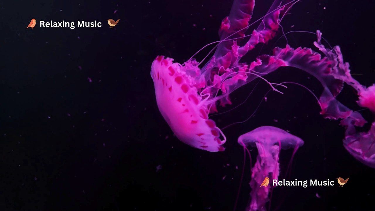 Relaxing Music "Relax and Unwind: Soft Instrumental Music for Serenity"