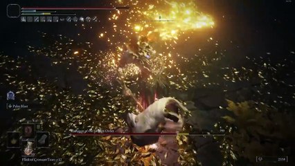 NEW ELDEN RING UPDATE! Patch 1.14 Nerfs Radahn and Buffs Many Weapons!
