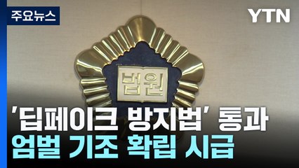 '딥페이크 방지법' 통과됐지만, 이전 판결 보니... / YTN