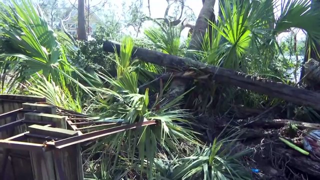 ارتفاع حصيلة الإعصار هيلين في الولايات المتحدة إلى 53 قتيلا