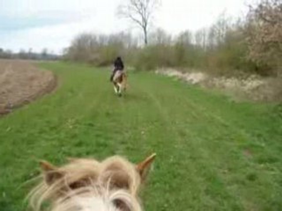 Galop ac jack, magnum et opium