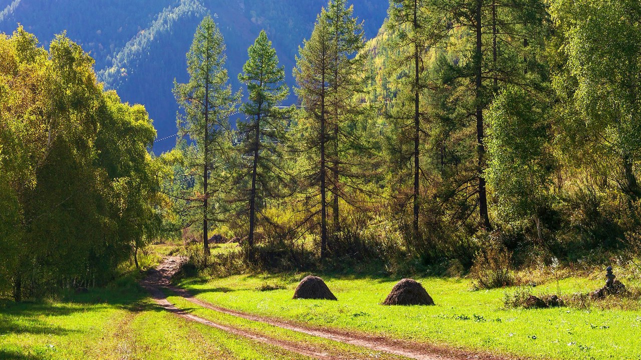 ✅Música relaxante para meditação trazendo bem-estar e equilíbrio emocional, eliminando ansiedade