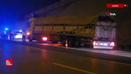 Hatay'da tırdan kaçarak otoyolda trafiği durduran angus, iğneyle vurularak yakalandı