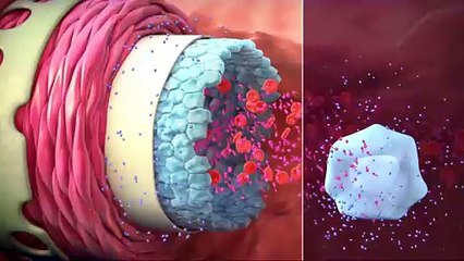 Mechanism of drug action