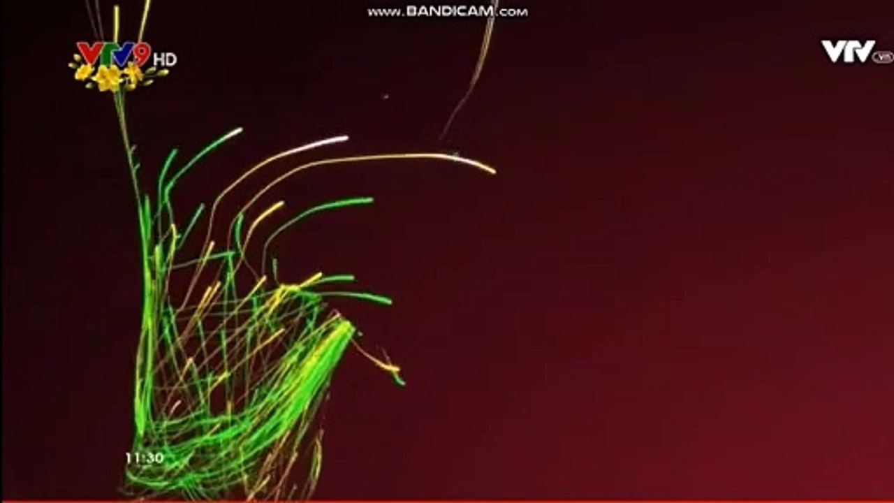 VTV9 ident Tết Đinh Dậu 2017