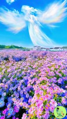 Breathtaking Universe Visuals