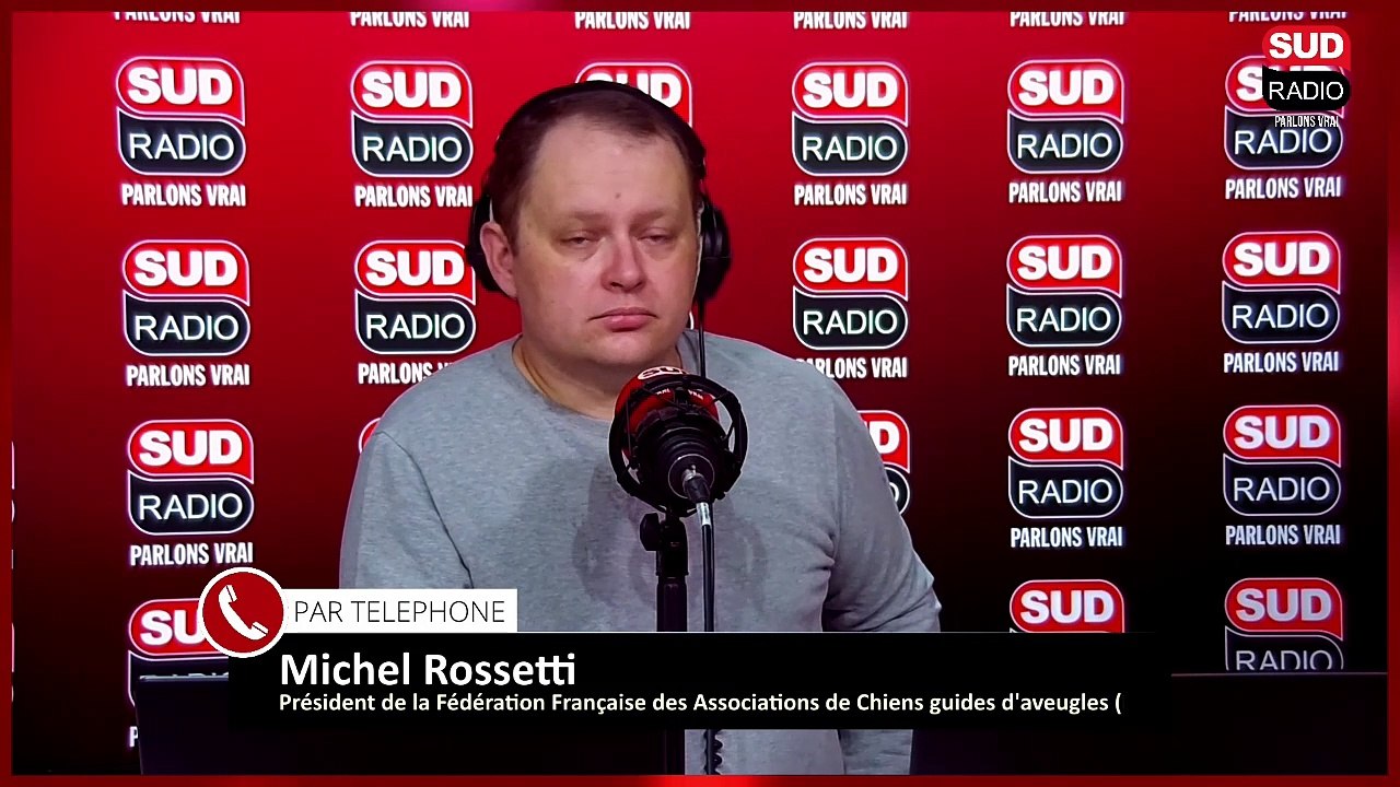 Les chiens guides d’aveugles à l’honneur dans toute la France ce week-end