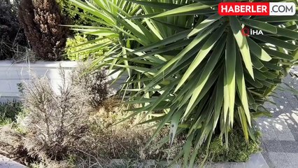 Cem Garipoğlu'nun otopsisinden ne sonuç çıkmıştı? Fethi kabir öncesi yeniden gündem oldu