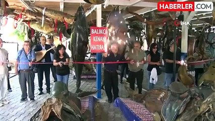 Denizlerde Palamut ve Kılıç Balığı Bolluğu Fiyatları Düşürdü
