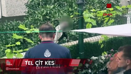 Avcılar'da yaralı kediyi itfaiye kurtardı